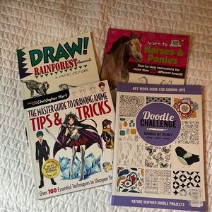 Set of 4 drawing books